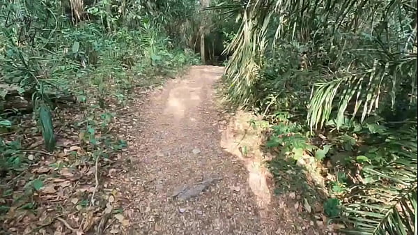 Em bạn gái dắt tôi vào rừng chịch nhau